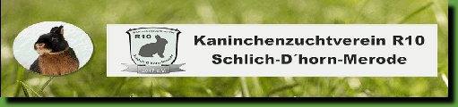 www.kzv-r10-sdm.de